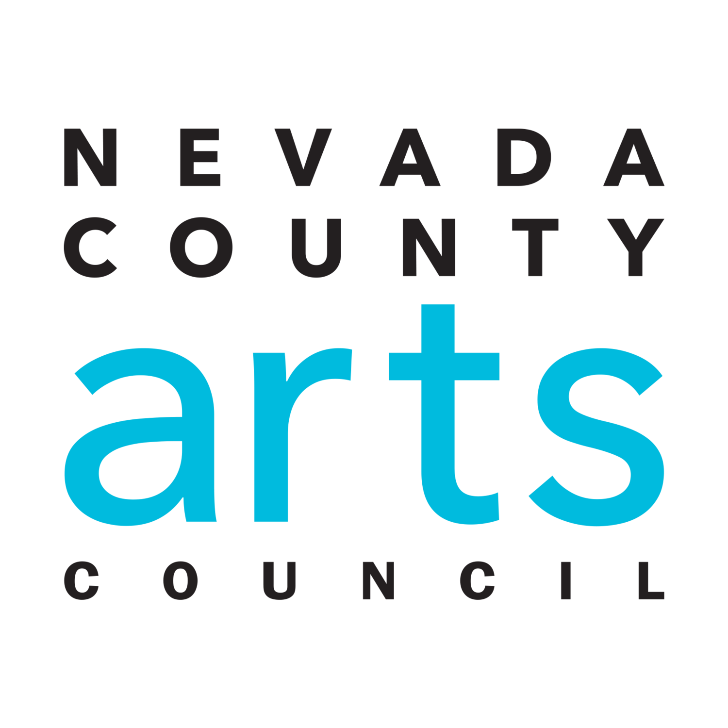 Nev County Arts Council Logo.png